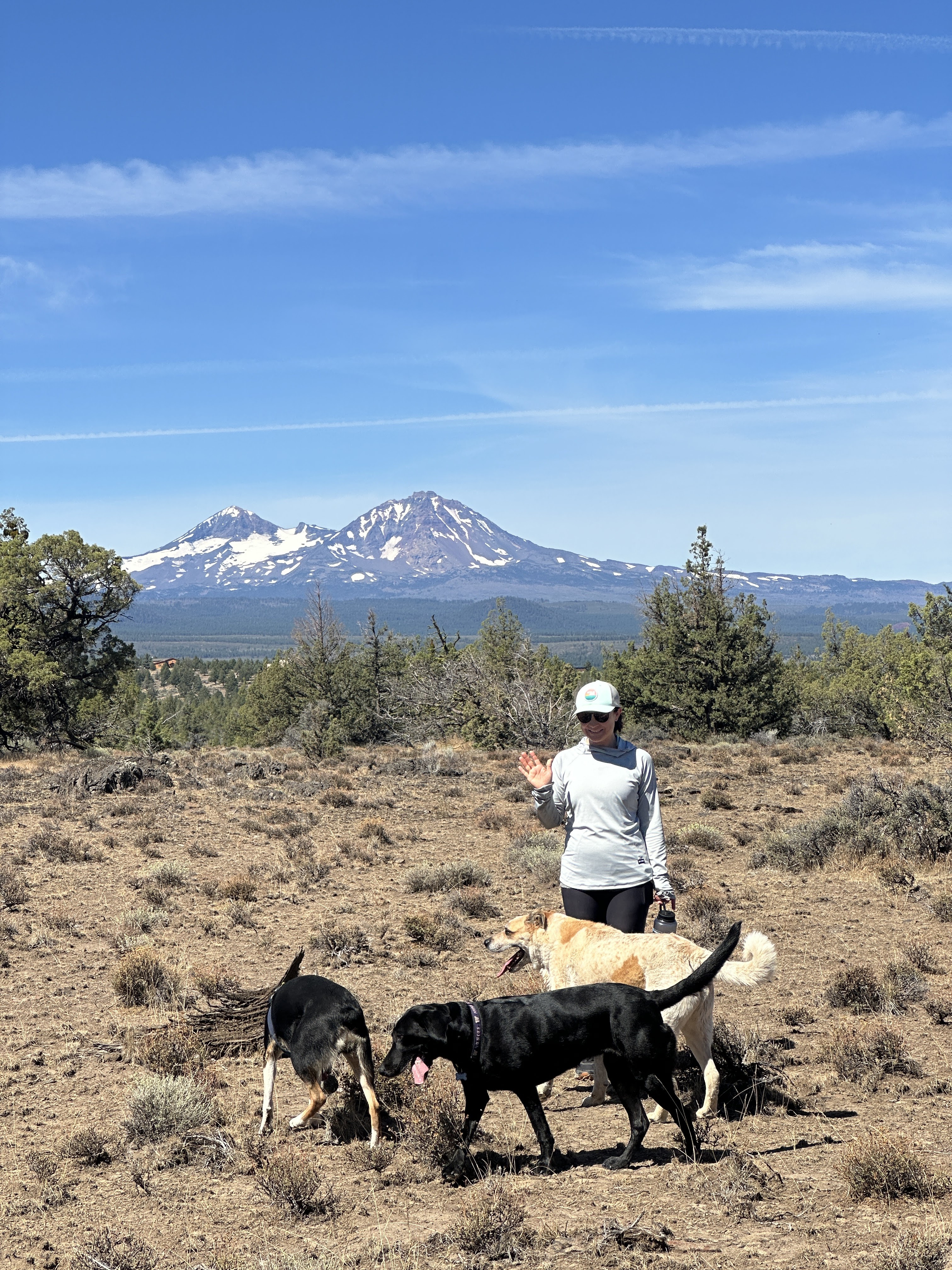 Dog on a trail